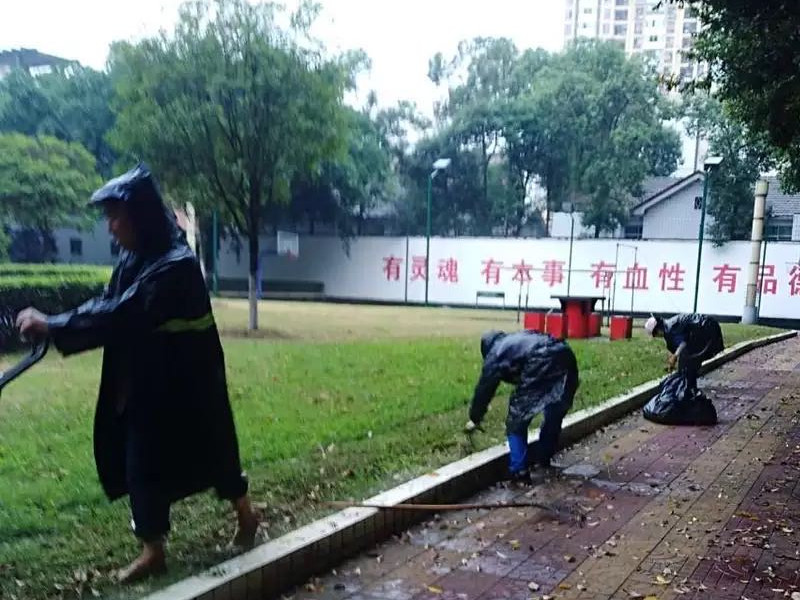 無(wú)懼風(fēng)雨，信泰為您守護(hù)